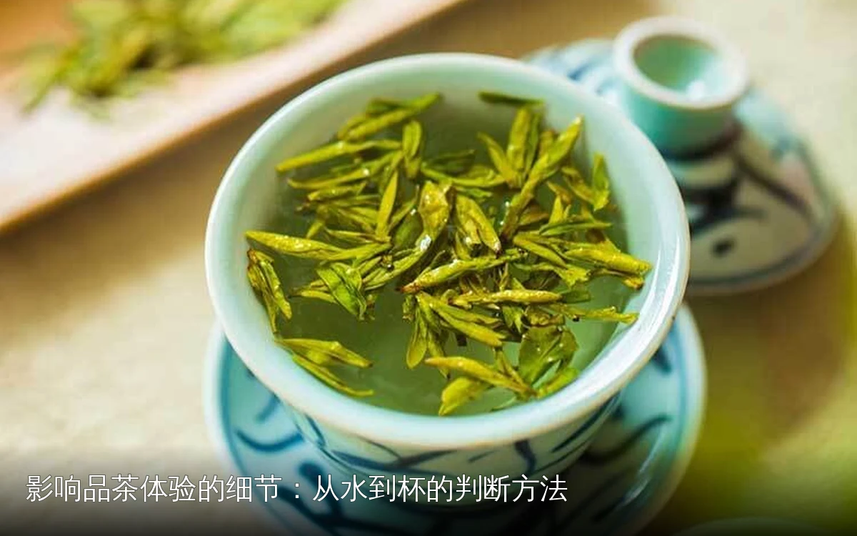 影响品茶体验的细节：从水到杯的判断方法